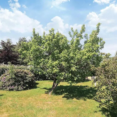 6 Person Holiday Home In Bogo By Semesterbostad *